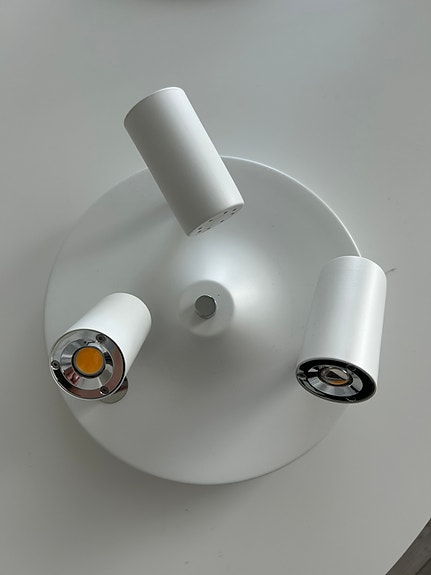 Spottivalaisin