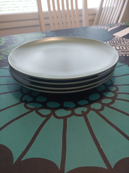 IKEA lautaset 4 kpl