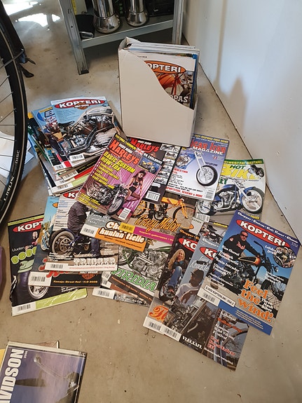Kopteri lehtiä 50 kpl