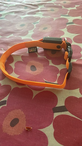 Rukka oranssi koiran led-panta