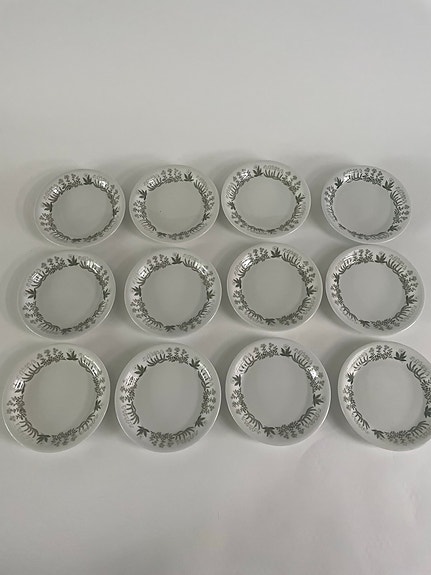 Arabia Polaris pullalautaset
