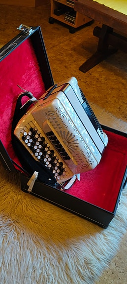 Harmonikka salkulla ,bugari finlandia junior