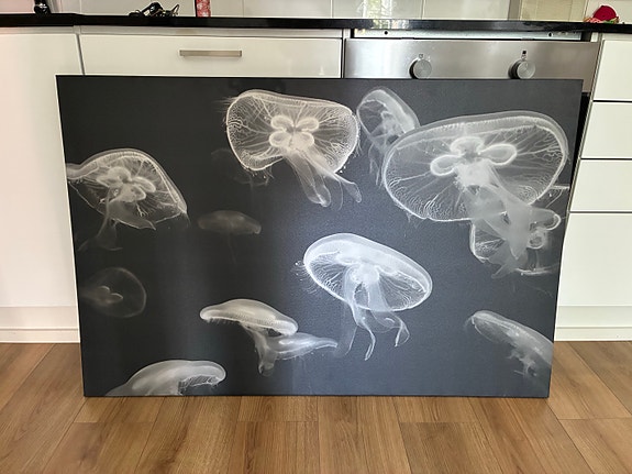 IKEA PJÄTTERYD taulu meduusat