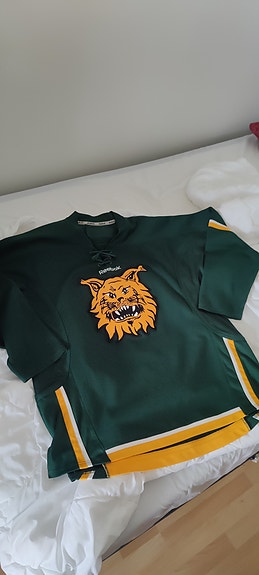 Ilves Fanipaita