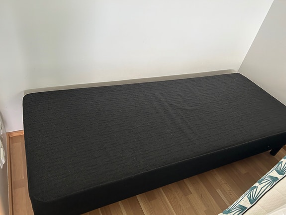 Sänky