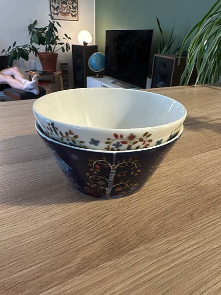 Iittala Taika kulhot varattu