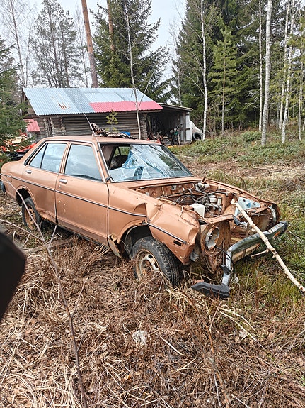 Datsun 140y osina