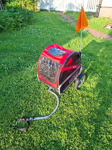 Koira peräkärry polkupyörään, pienelle koiralle