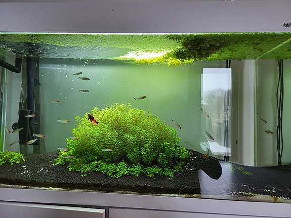 Aquael Opti Set 200 + kaapillinen jalusta [MUUTTOMYYNTI]