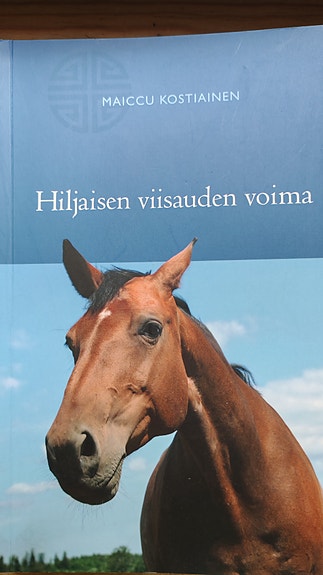 Maiccu Kostiainen, Hiljaisen viisauden voima
