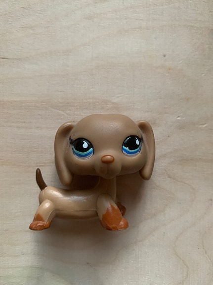 Lps mäyräkoira