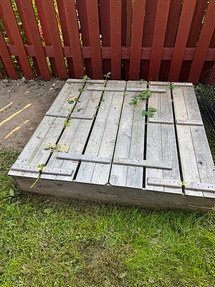 Hiekkalaatikko