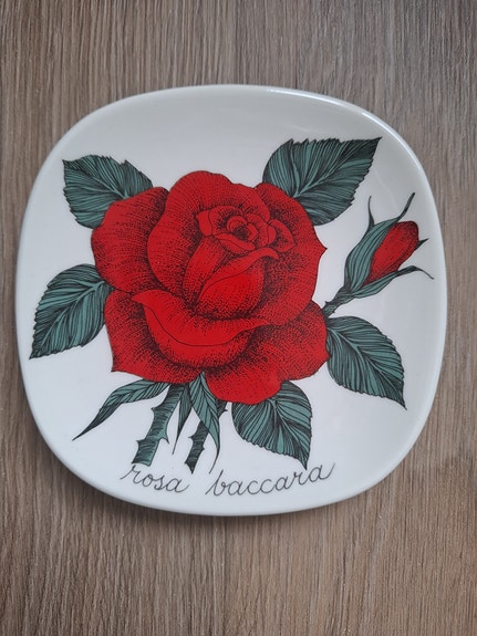Arabia Botanica, Rosa Baccara ruusukuvio