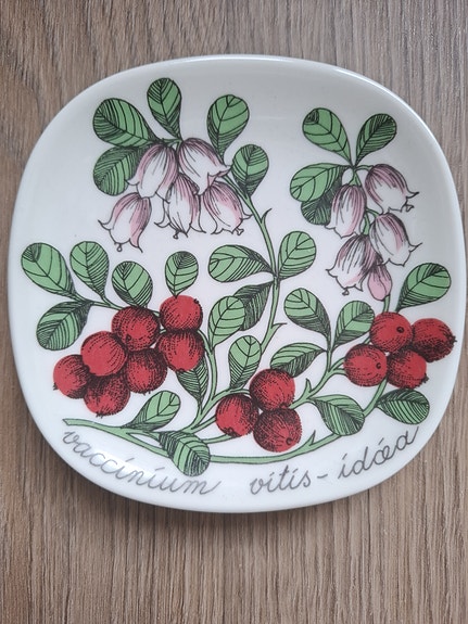 Arabia Botanica, Vaccinium vitis-idoa, puolukka