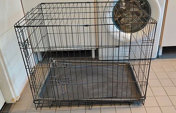 Koiran metallihäkki