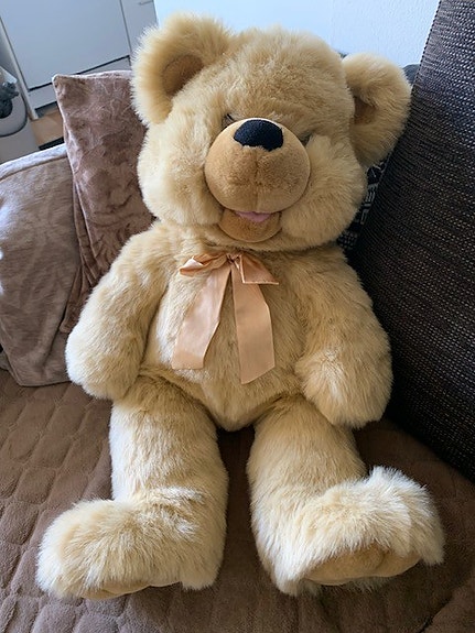 Nyt olisi myytävänä hieno pehmo nalle. Vailla uutta kotia.