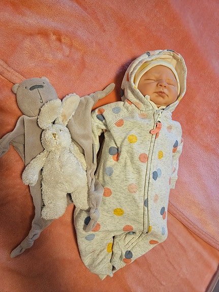 Reborn Ivy