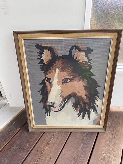 Collie taulu