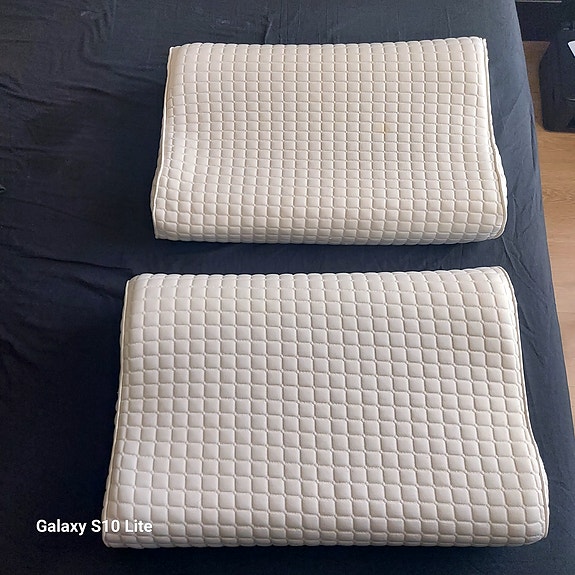 IKEA ROSENSKÄRM tyyny x2