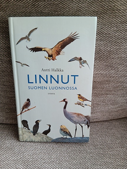 Antti Halkka: Linnut Suomen luonnossa - kirja