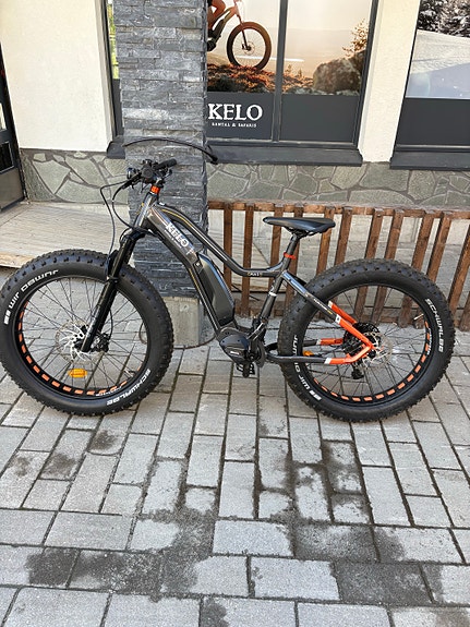 Tunturi eMax