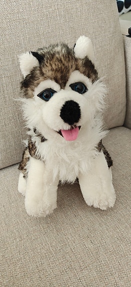 Husky pehmolelu