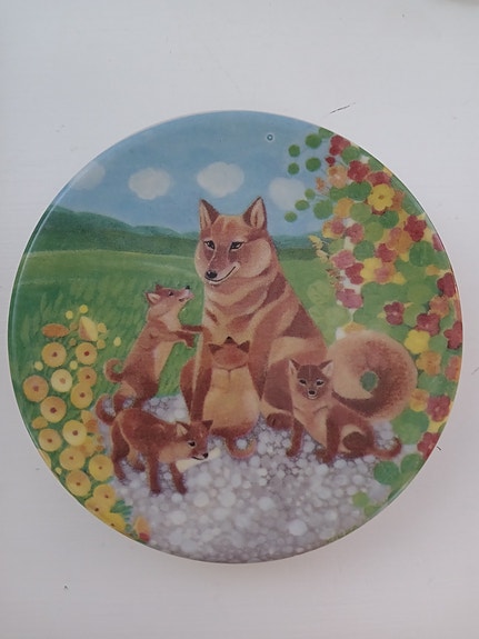 Kermansaven seinälautanen, 6€
