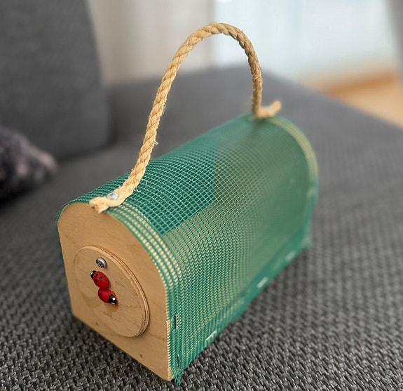 Lasten kannettava koti hyönteisille