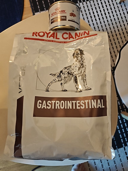 Royal Canin Gastrointestinal koiranruoka