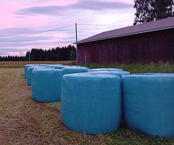 Pyöröpaali