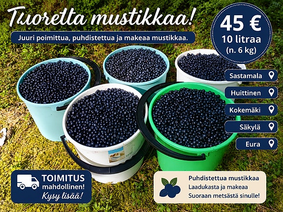 Mustikka 45 €+ Toimitus