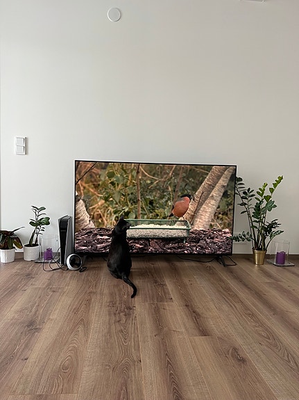 LG smart tv SM8500PLA