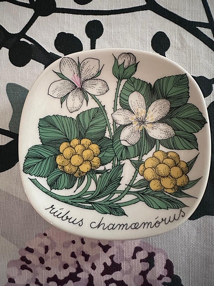 Arabia seinälautanen Esteri Tomula