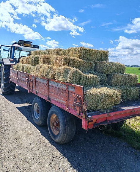 Kuivaa heinää pienpaaleissa
