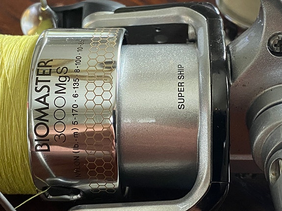 Avokela Shimano