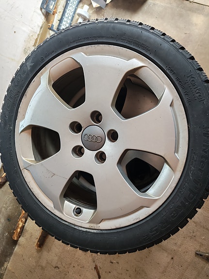 Audin 17" vanteet