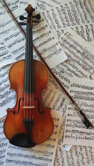 Violin lessons