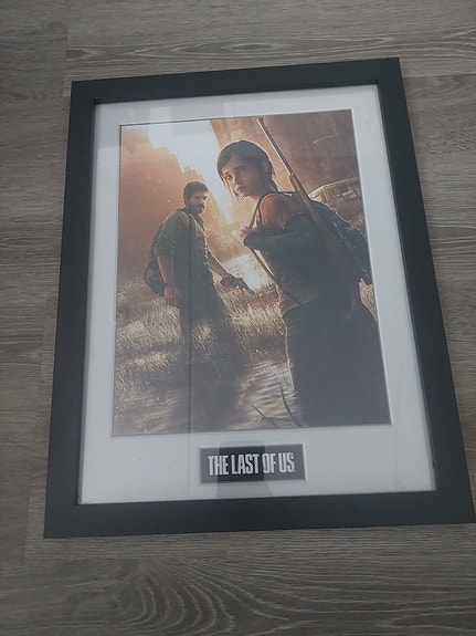 The Last of Us taulu