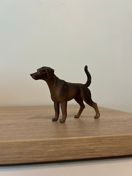 Schleich labradorinnoutaja