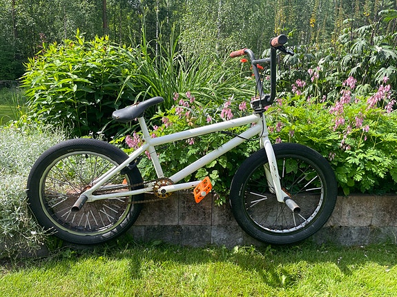 BMX Verde Luxe