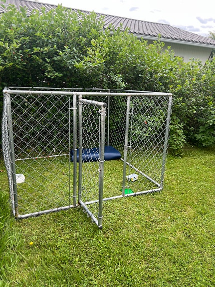 Metallinen koiratarha portilla