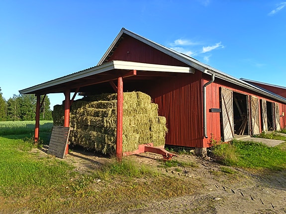 Heinää pikkupaalissa
