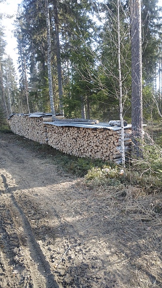 Metrisiä koivuhalkoja