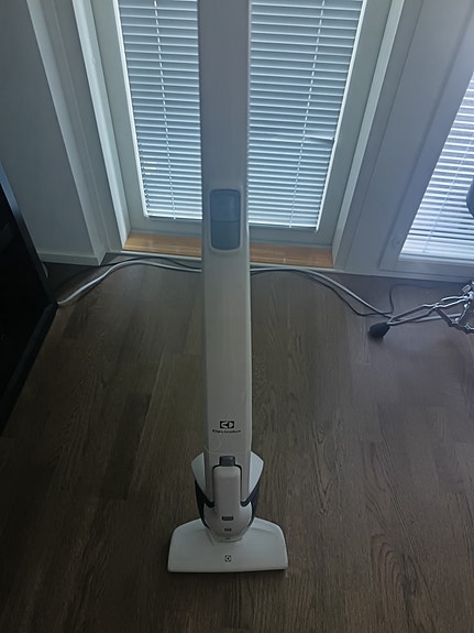 Electrolux Ergorapido varsi-imuri