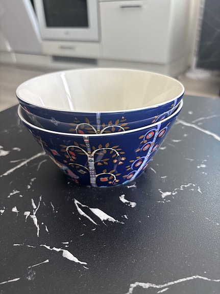 Iittala Taika-kulhot sininen 2kpl