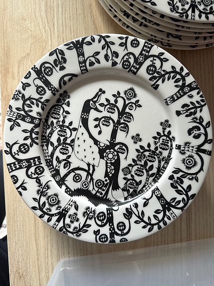 Iittala taika lautaset 22cm