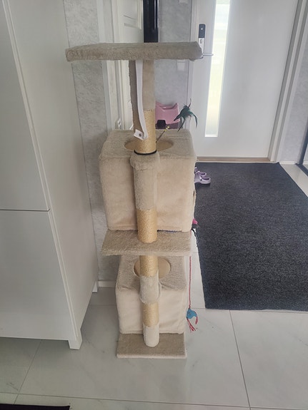 Beige kiipeilypuu kissoille