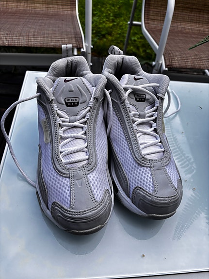 Nike Air Max sneakers