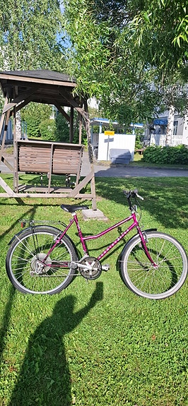 Tunturi 21 vaihetta