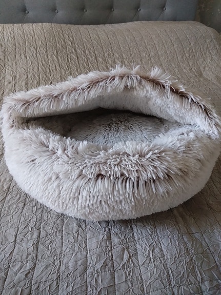 Pienen koiran (tai kissan) peti